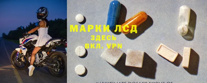 Лсд 25 экстази ecstasy  Горно-Алтайск 